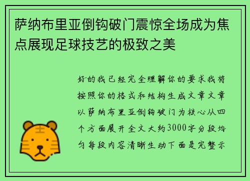萨纳布里亚倒钩破门震惊全场成为焦点展现足球技艺的极致之美 萨纳布里亚倒钩破门震惊全场成为焦点展现足球技艺的极致之美